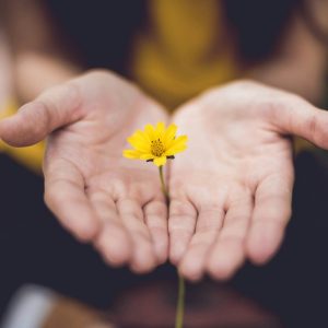 lina-trochez-ktPKyUs3Qjs-unsplash-scaled-e1766311949338-1536x1536