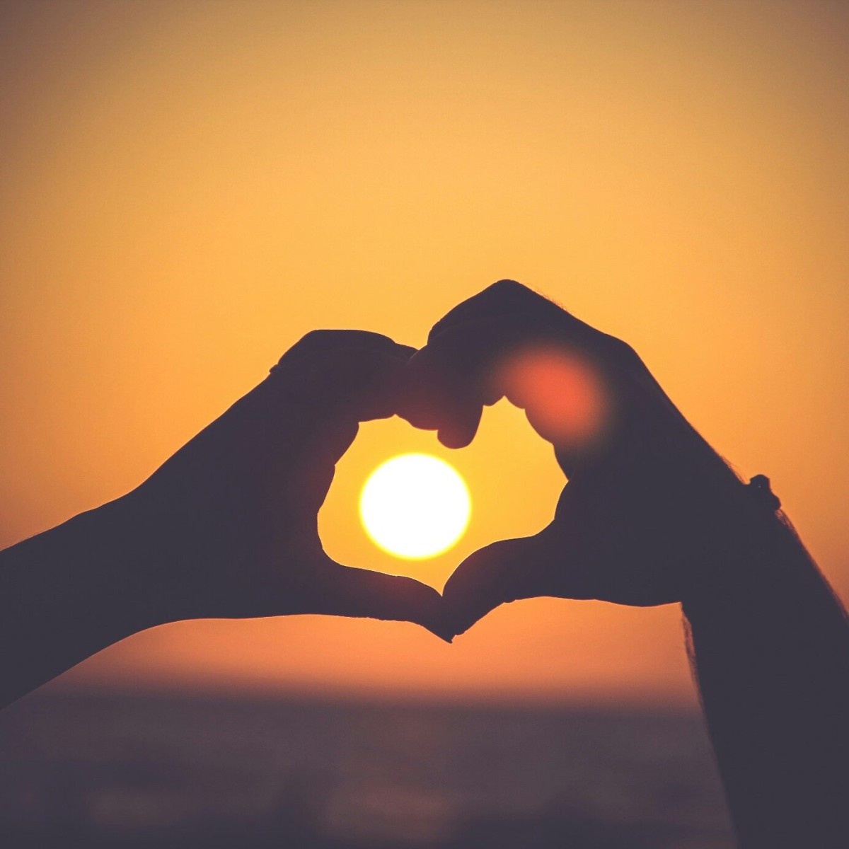 mayur-gala-2PODhmrvLik-unsplash